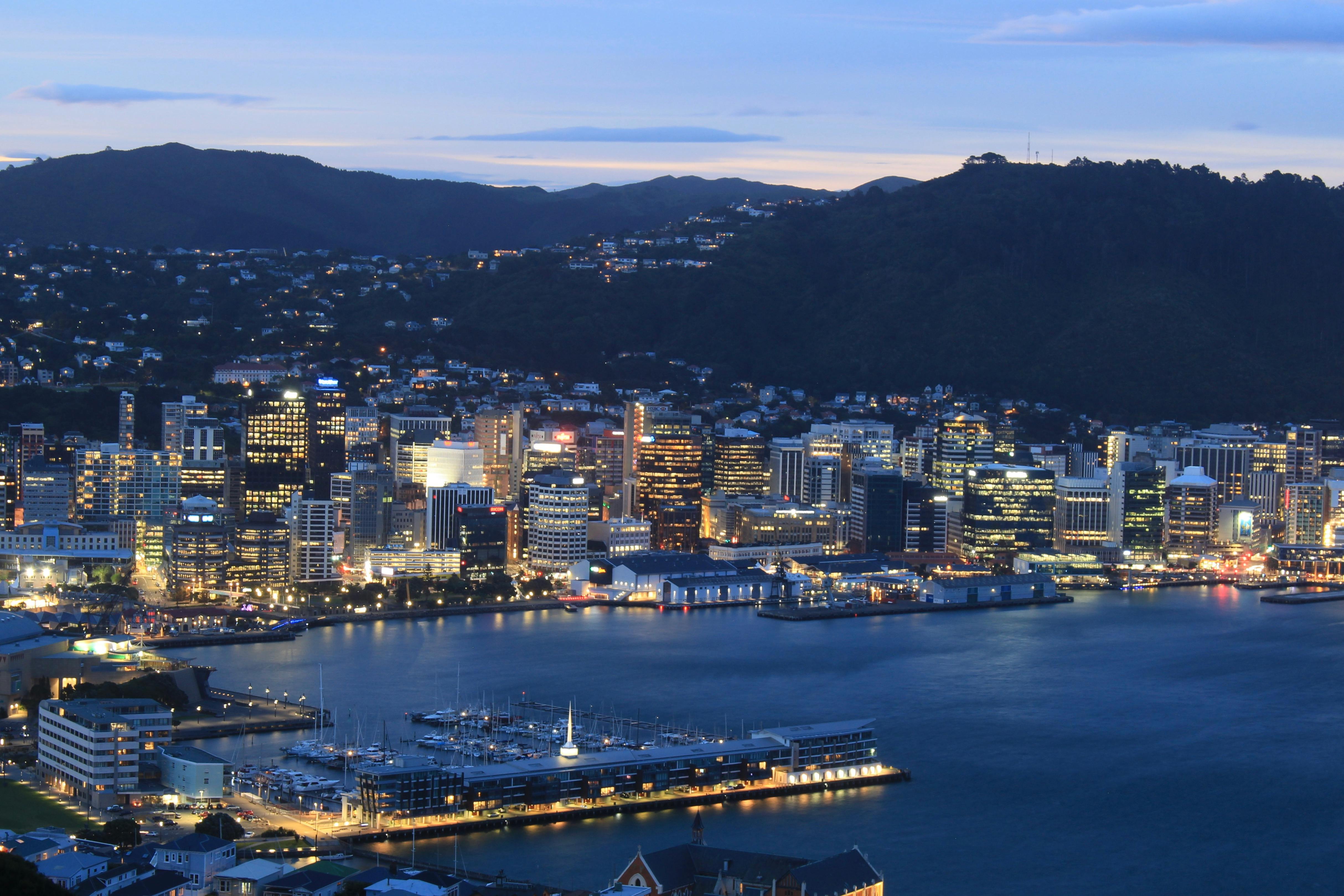 Wellington Landscape 